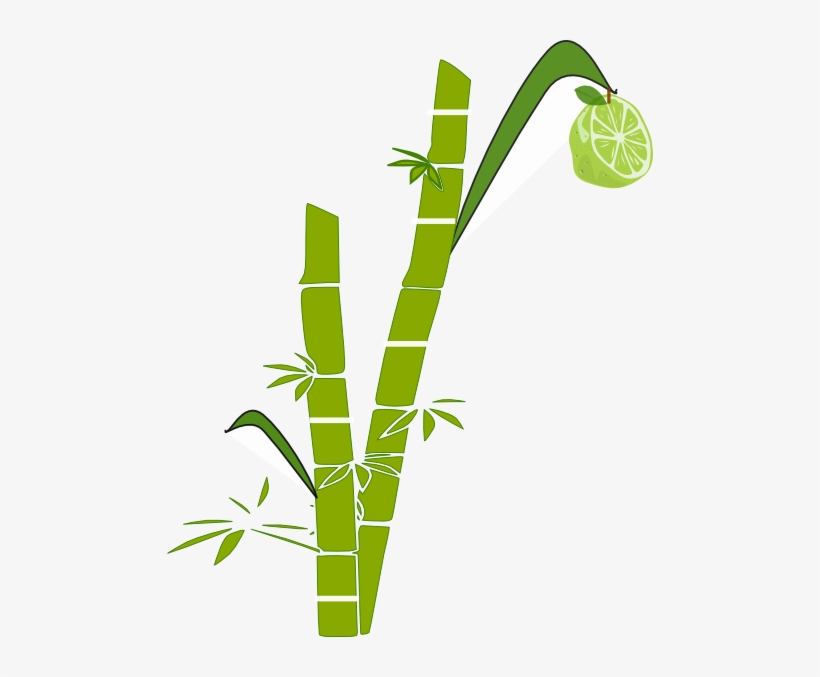 Lemon Clipart Lemon Tree - Clip Art Sugar Cane Clipart, transparent png