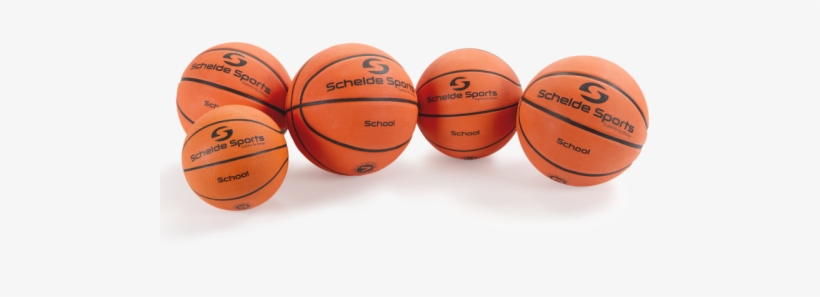 Basketball Schelde School, Size - Basketball School Shooter, transparent png