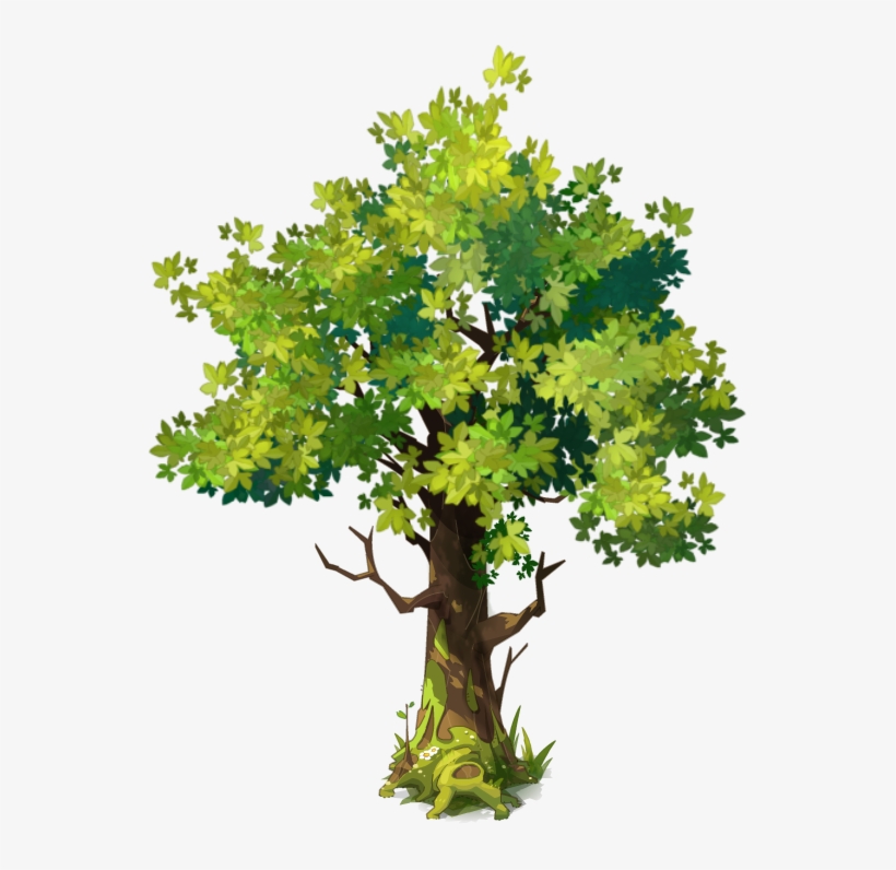 Elm - Drawing, transparent png