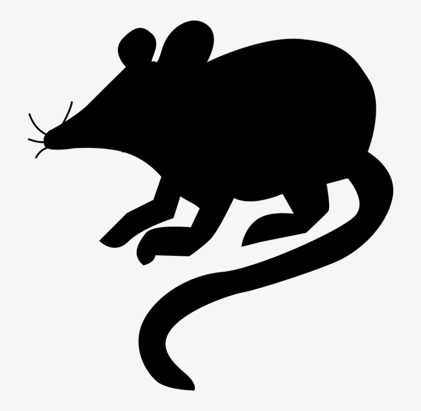 Silueta Rata Png - Silueta De Un Raton, transparent png