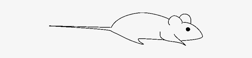 Rat Coloring Transparent, transparent png