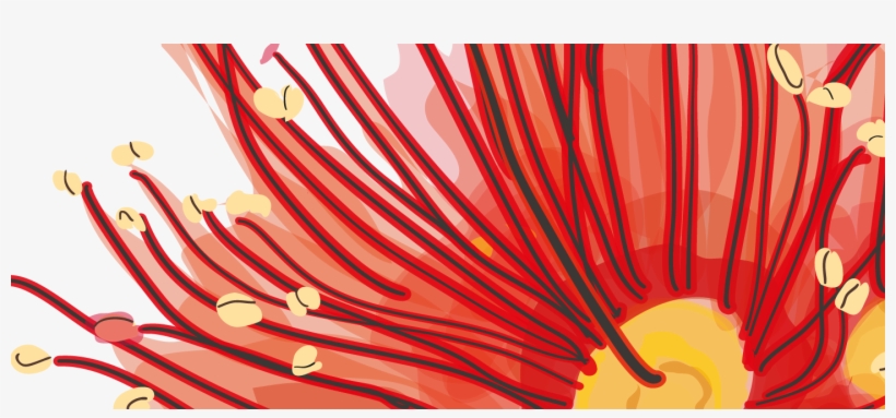 Layers Of Colour And Shades Of Translucency Were Used - Wine, transparent png