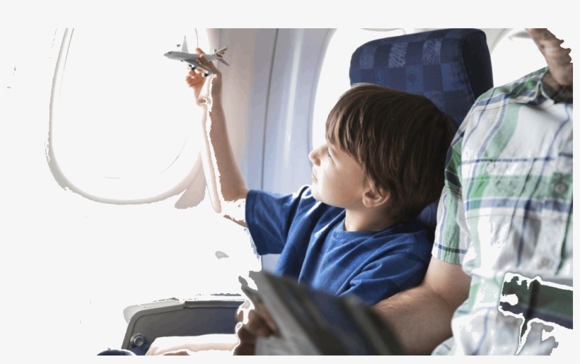 Image Of Young Seagull Afraid To Fly For Two Stories - Child In Plane, transparent png