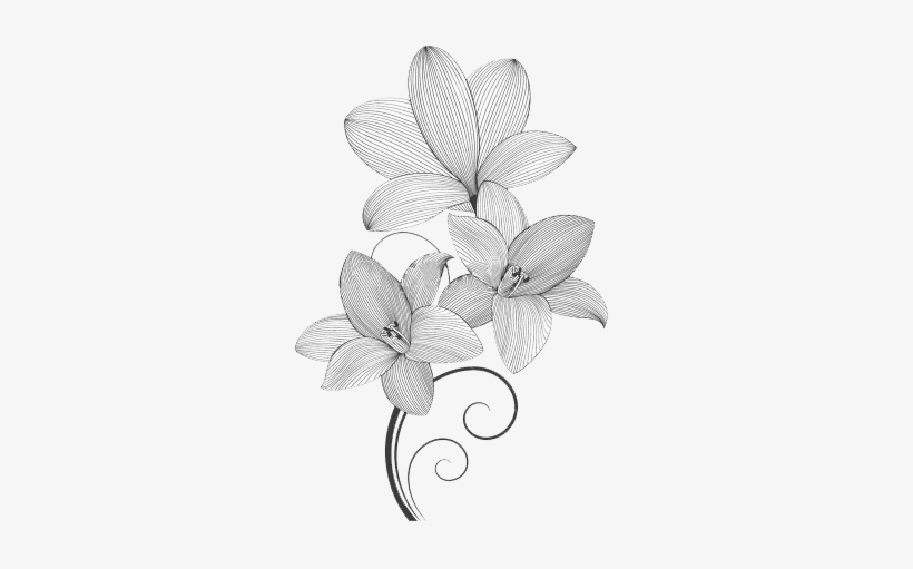 Beautiful Floral Lines - Design, transparent png