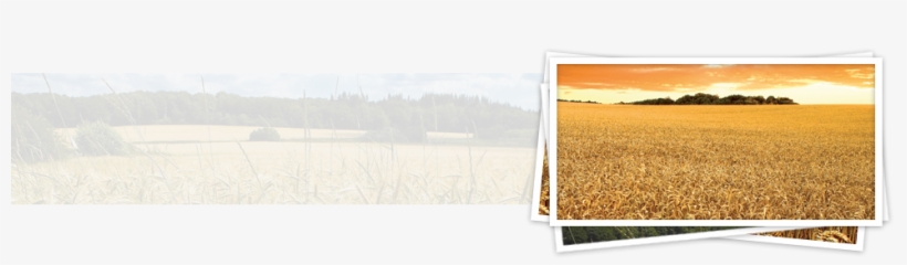 Odie Robert Carrier, Jr - Funeral, transparent png