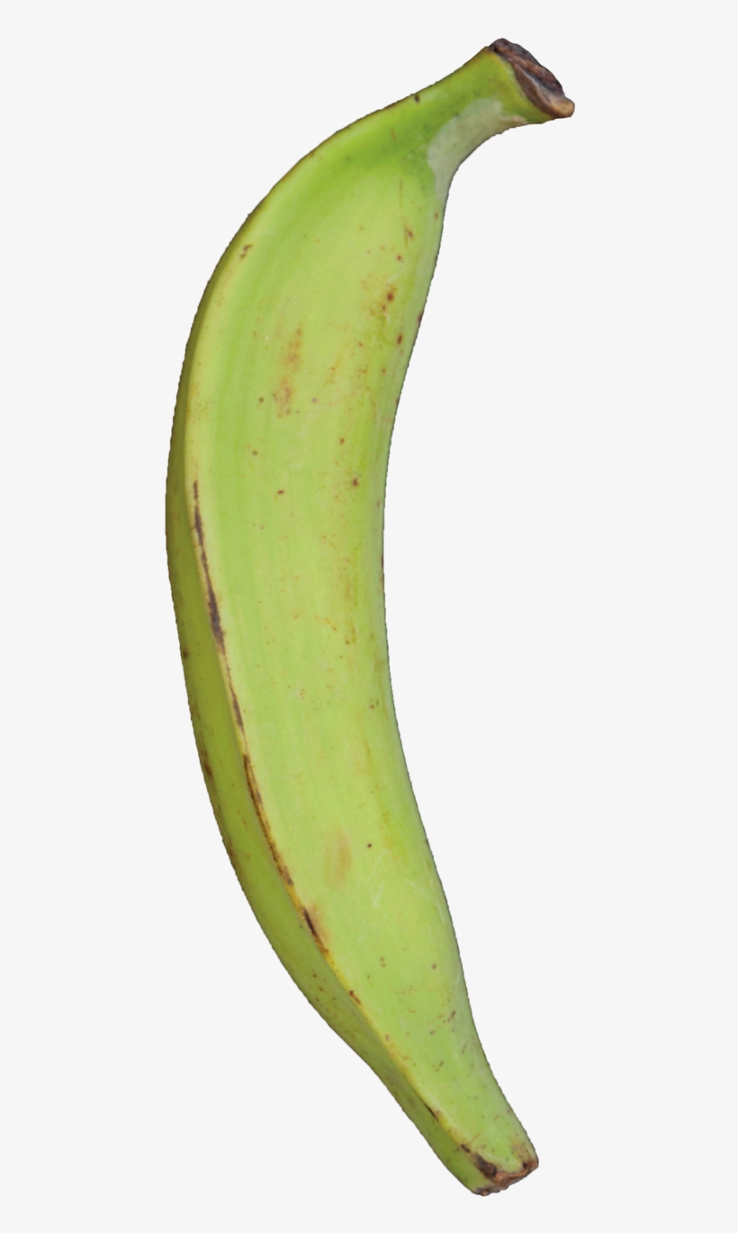 Plantain Green Raw Dirt - Portable Network Graphics, transparent png