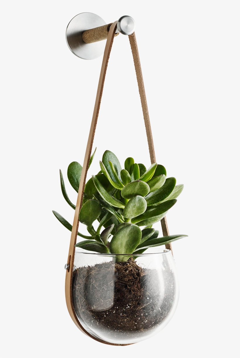 Design With Light Hanging Pot - Holmegaard - Design With Light Hanging Pot, 14 Cm, transparent png