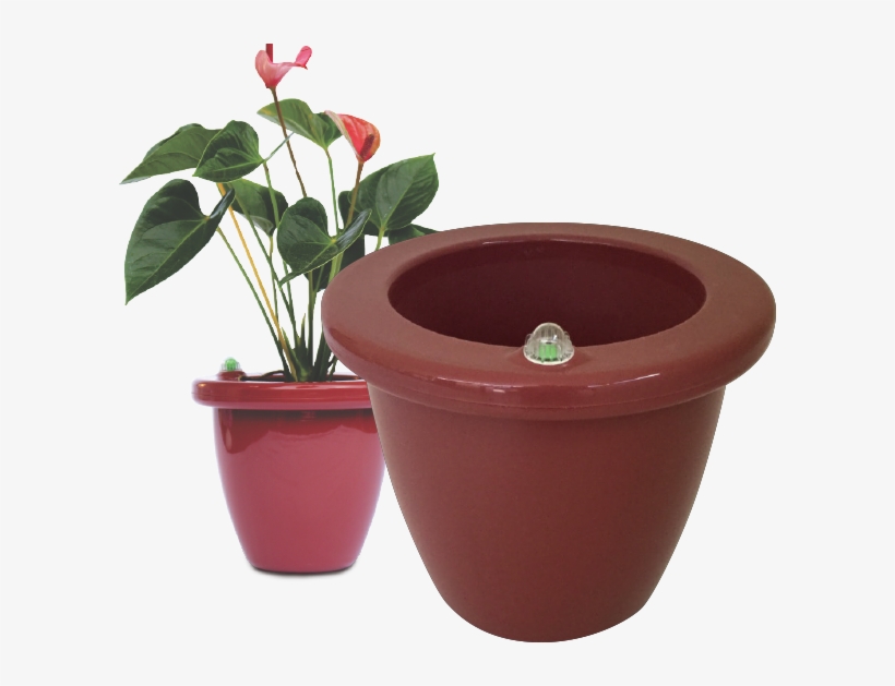 Flowerpot, transparent png