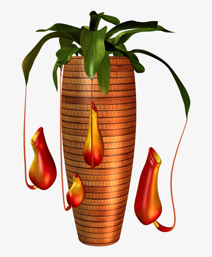 Garden Potplant - Vase, transparent png