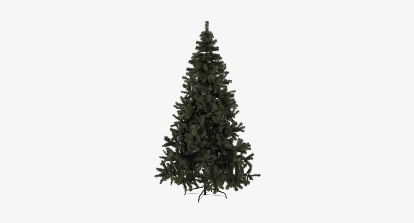 Christmas Tree Quebec Green - Christmas Tree With Light, transparent png