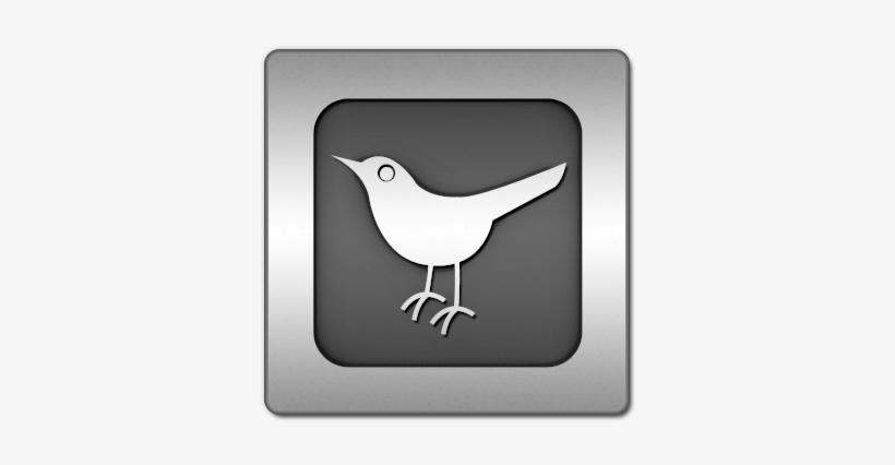 Social, Animal, Bird, Twitter, Social Network, Square, - Twitter Bird, transparent png
