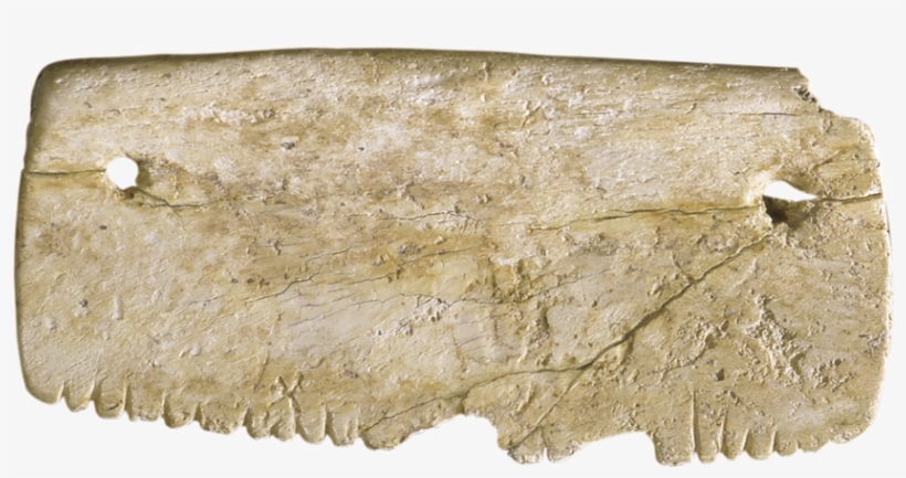 Peine Antiguo De Huesos, transparent png