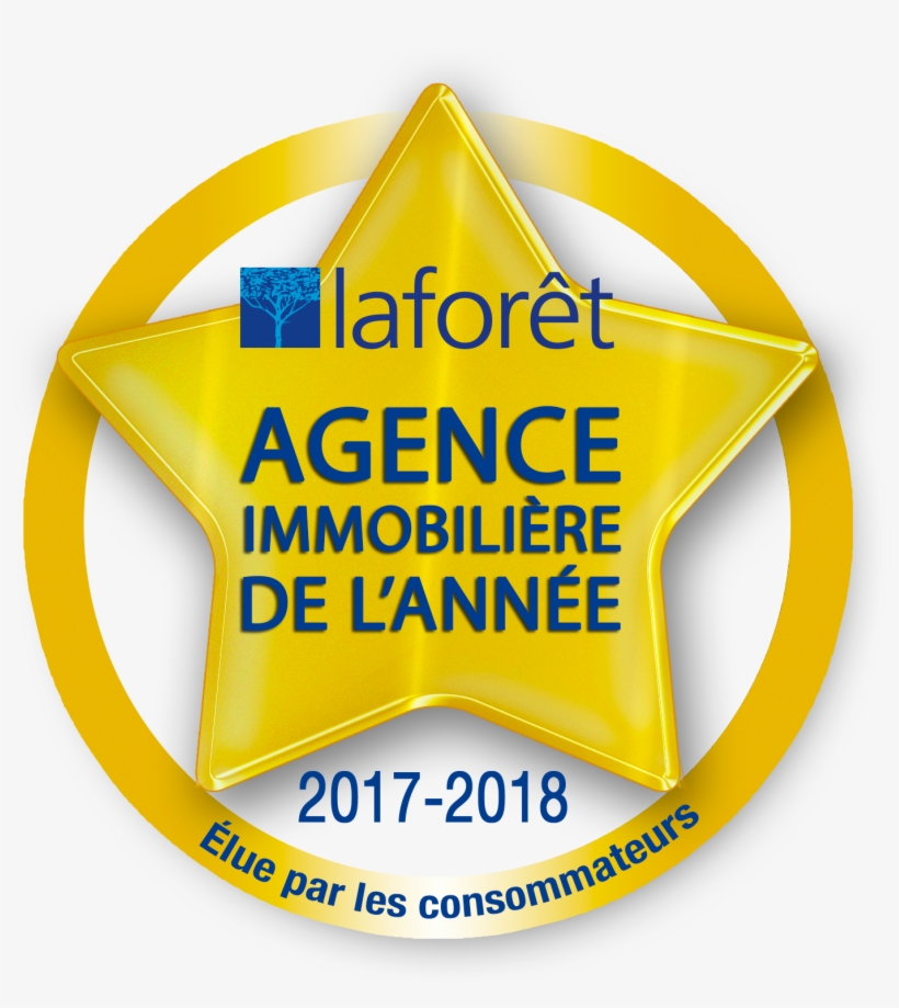 Photo - Guitar String, transparent png