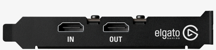 Elgato, transparent png