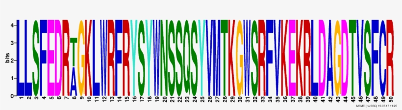 Png Logos Require Convert From Imagemagick - Art, transparent png