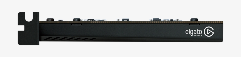 Elgato, transparent png