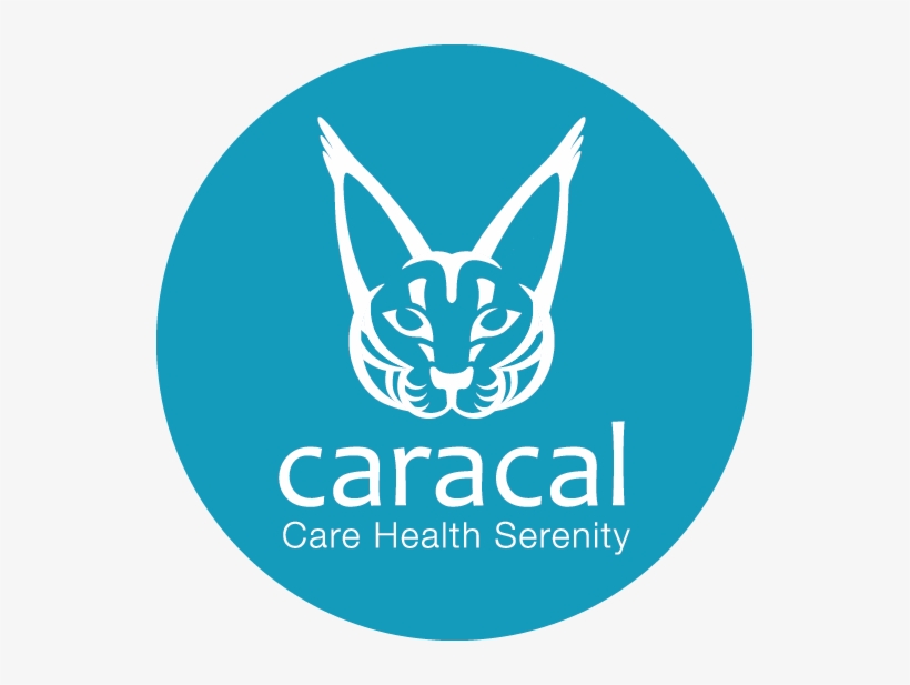 Tal Tsafrir, transparent png