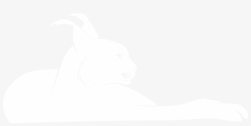 The Caracal Is A Fiercely Territorial Medium-sized - Illustration, transparent png