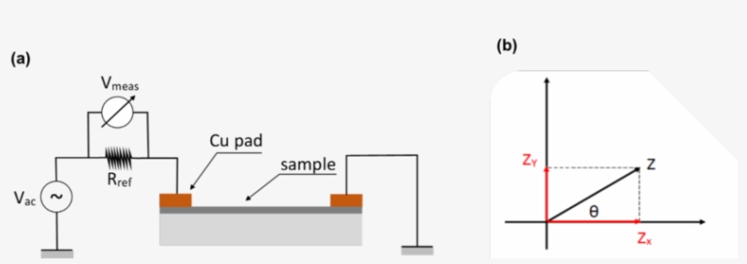 Electrical Circuit Used For The Impedance Measurements - Diagram, transparent png