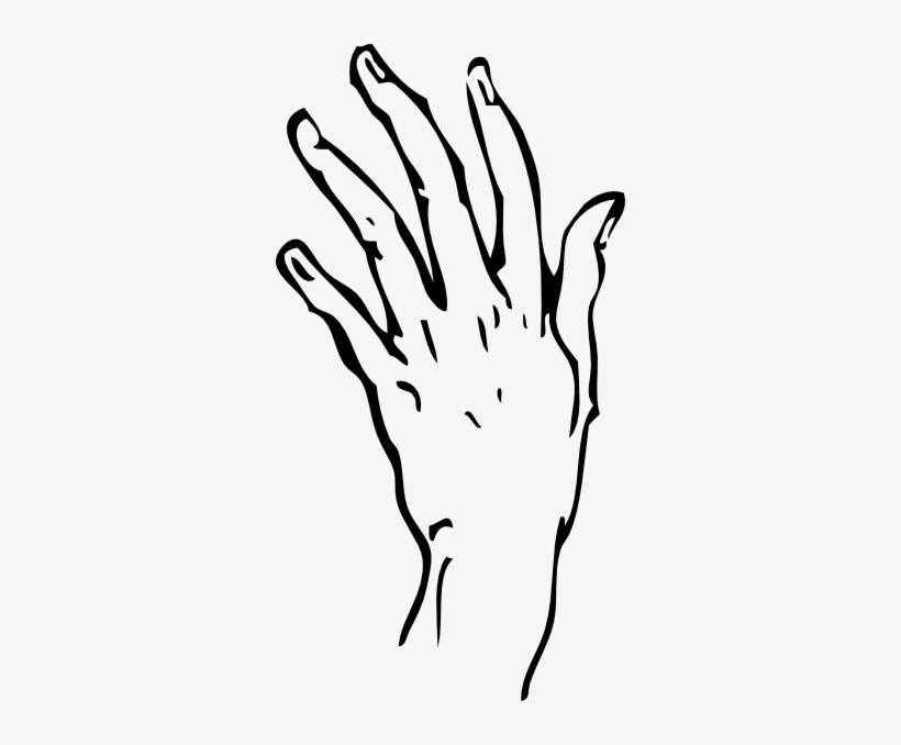 Circuit Board Clipart - Hand Line Drawing Transparent, transparent png