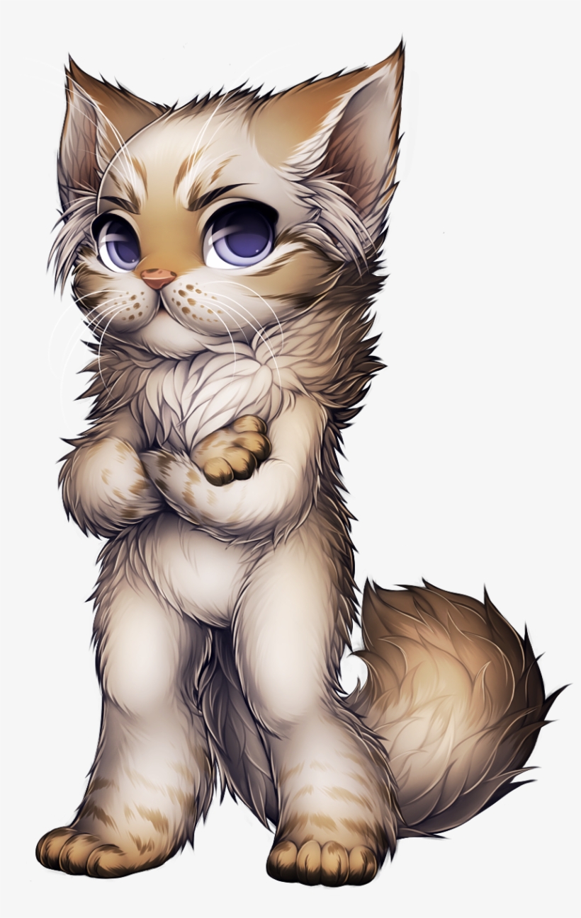 9ensfgv - Persian Cat, transparent png