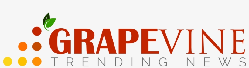 Grapevine Trends - Grapevine, transparent png