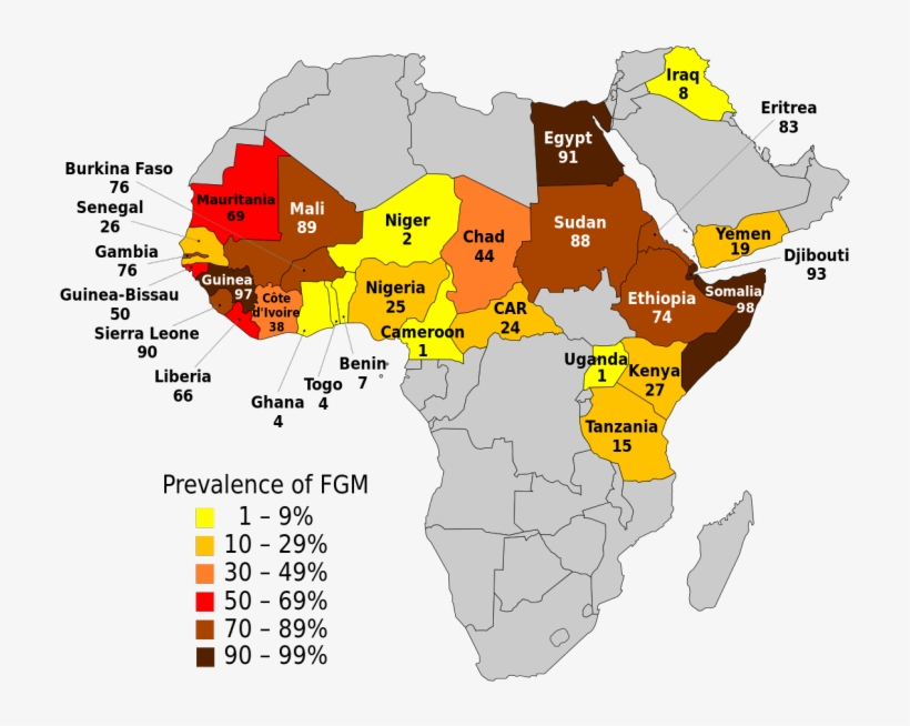 Nigeria Bans Female Genital Mutilation - Female Circumcision, transparent png