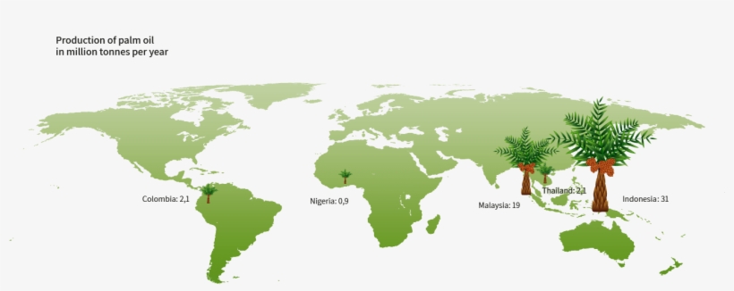 Politics Of International Organizations: Views, transparent png