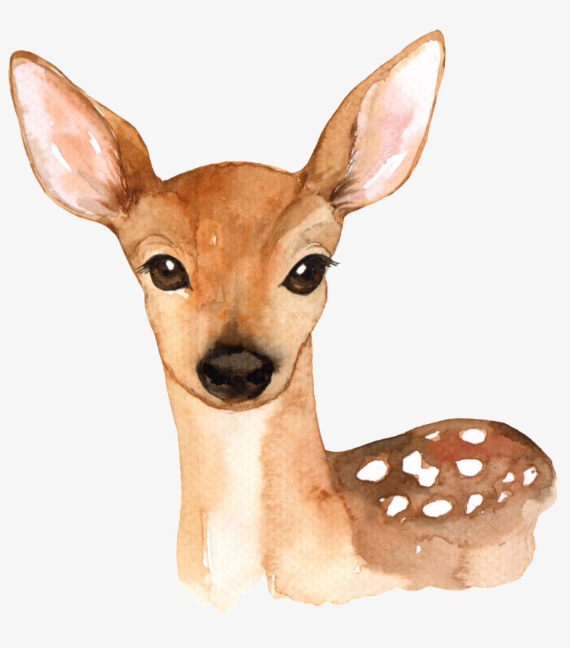 Hand Painted A Cute Deer Png Transparent - Woodland Animals Printables Free, transparent png
