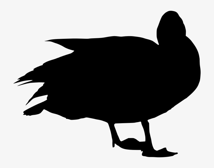 Download Png - Water, transparent png