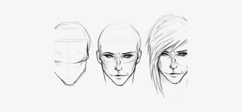Clip Royalty Free Download Human Face Anatomy K - Anatomia De La Cara Dibujo, transparent png