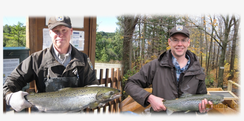 Bill And Nick Are Fisheries Biologists Working To Restore - Pull Fish Out Of Water, transparent png