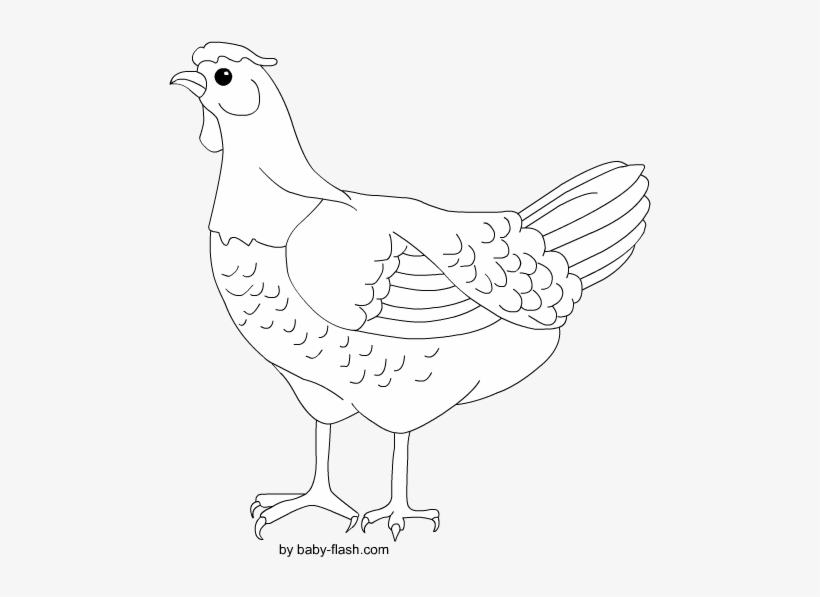 Chicken, transparent png