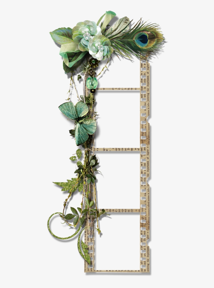 Vintage Peacock Feather Film Strip Frames - Peacock Feather Pendant Necklace, transparent png