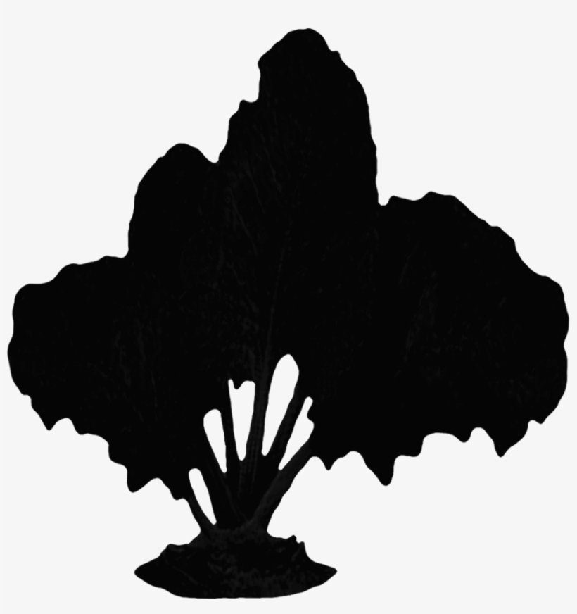 Veganism, transparent png
