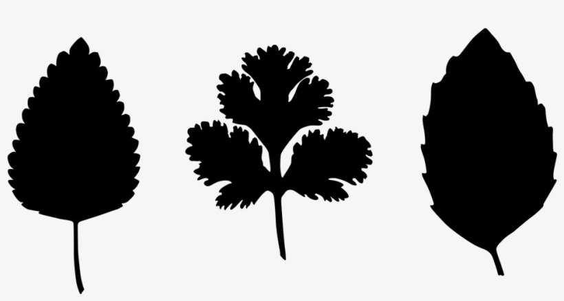 Recipes - Illustration, transparent png