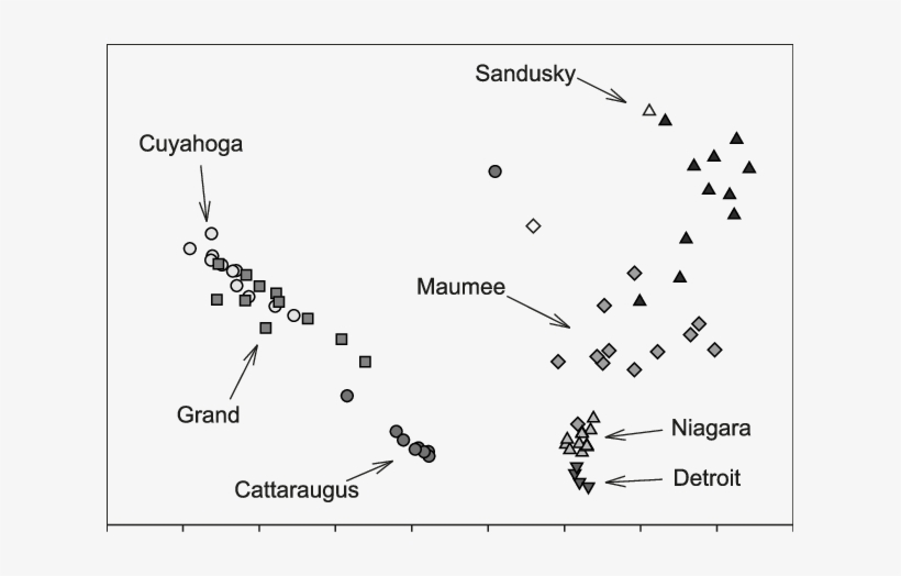 Results Of A Quadratic Discriminant Function Analysis - Diagram, transparent png