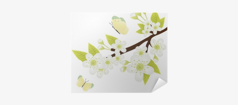 Vector Graphics, transparent png
