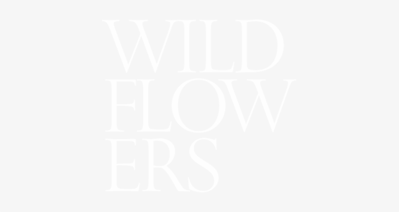 Wild Flowers - Kozmetični Salon Urša, Urška Jeruc S.p., transparent png
