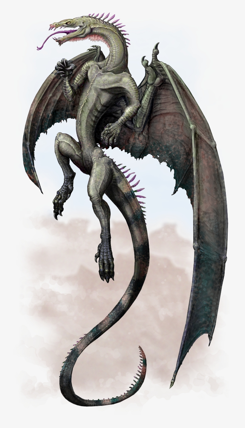 Shades Of Graydragon - Dragon, transparent png