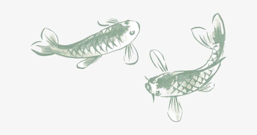 Learn To Cook - Northern Pike, transparent png