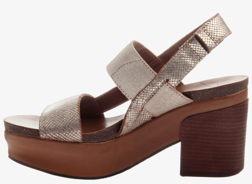 Indio Women's Stacked Heel In Gold Inside View - Otbt Indio Women's Dress Sandals Gold : 8 M, transparent png