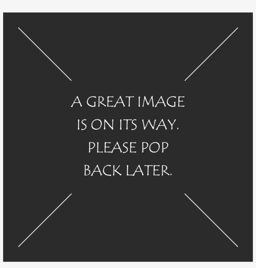 Assassin's Creed Black Flag- Jackdaw Crew Hoodie, Us$59 - Assassin's Creed, transparent png