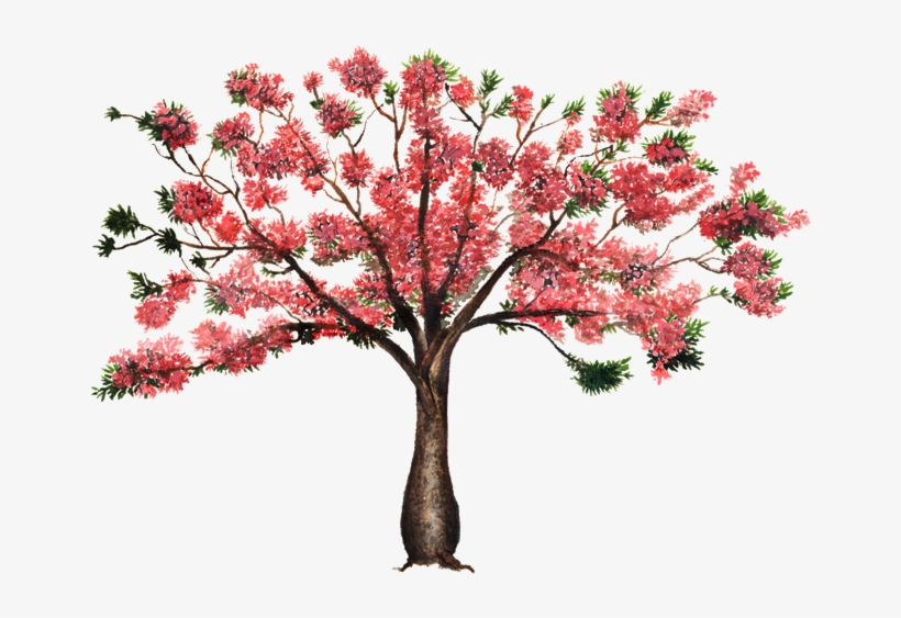 Tree, transparent png