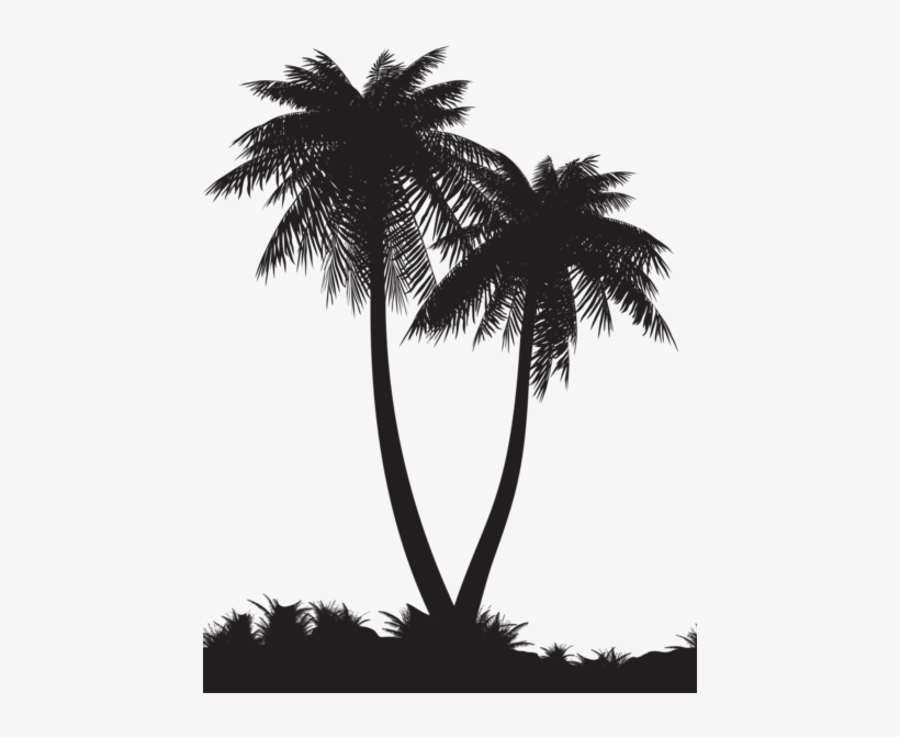 Pin By Alan On Bookshelves - Palm Tree Silhouette Png, transparent png