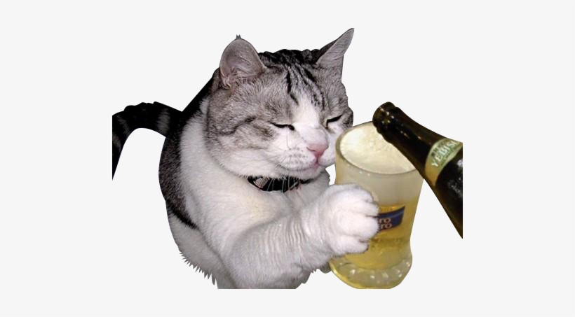 Cat Cheers, transparent png