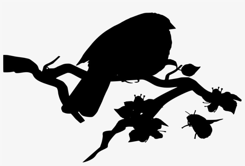 Download Png - Bird, transparent png