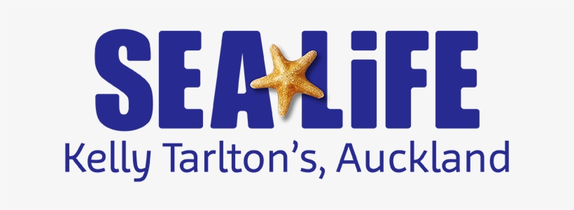 Sea Life Kelly Tarlton's Aquarium - Sea Life Kelly Tarltons, transparent png