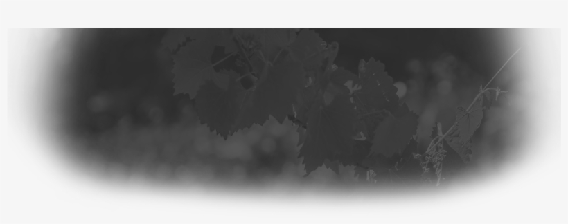 Header-background - Monochrome, transparent png