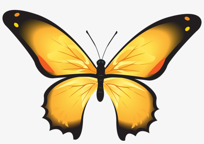 Clip Art, transparent png